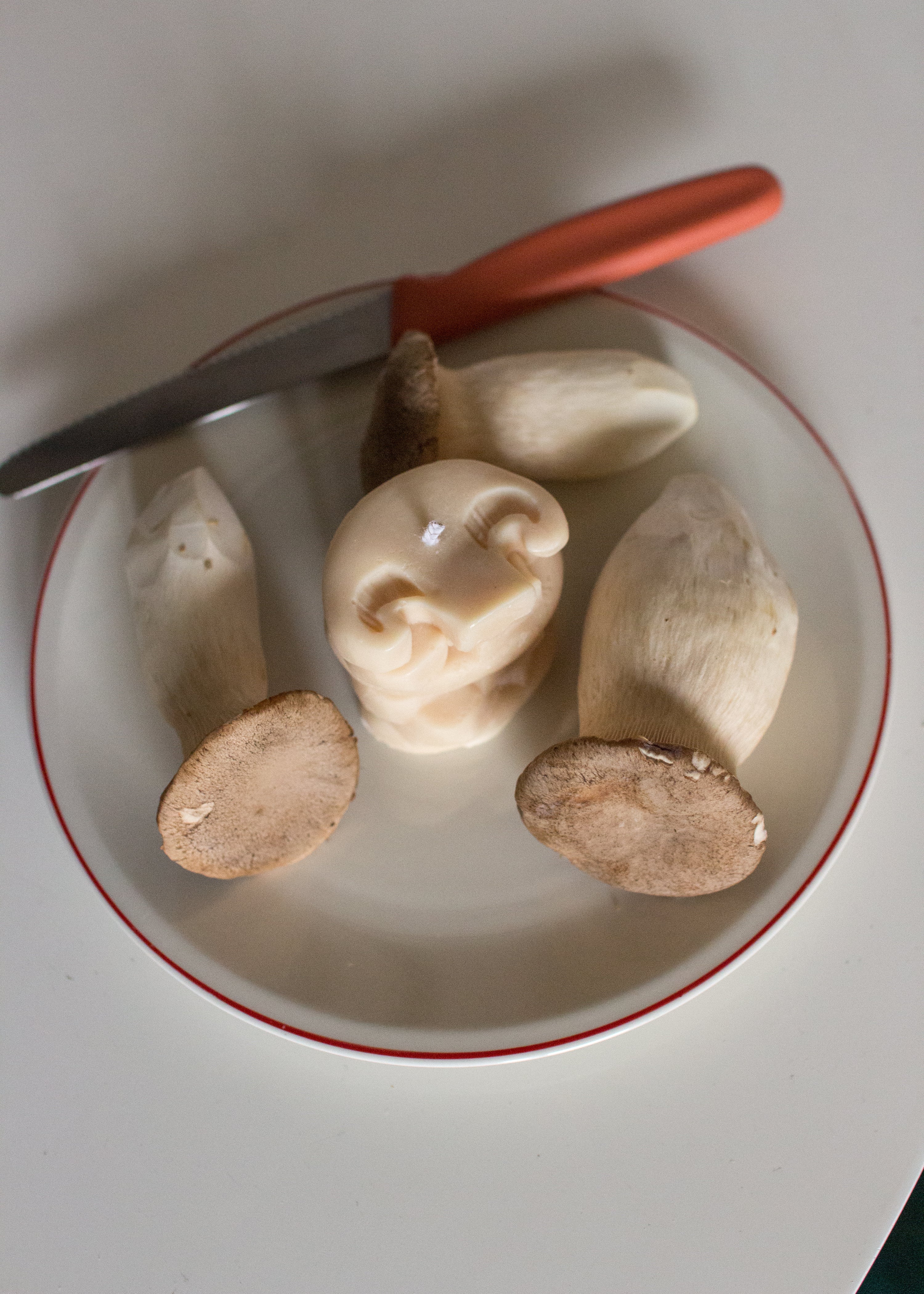 Mushroom Slices Candle